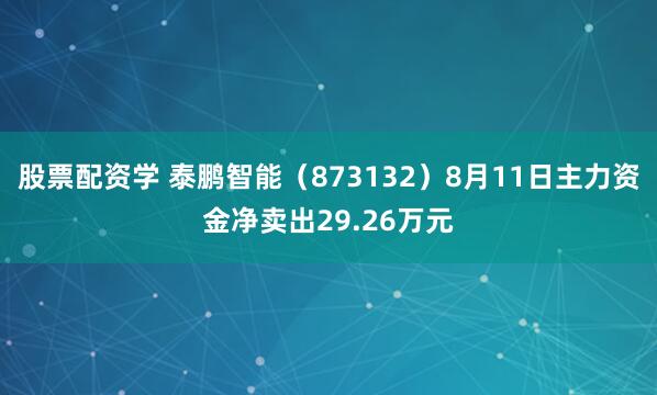 股票配资学 泰鹏智能（873132）8月11日主力资金净卖出29.26万元