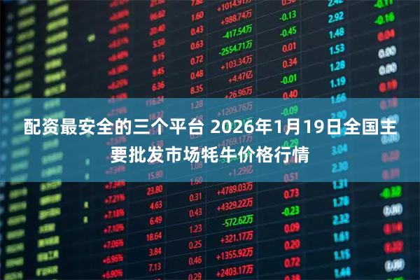 配资最安全的三个平台 2026年1月19日全国主要批发市场牦牛价格行情