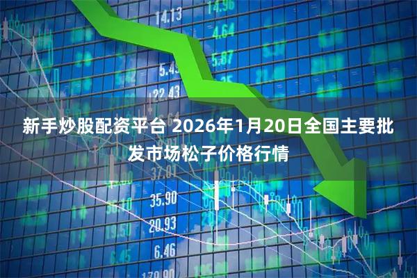新手炒股配资平台 2026年1月20日全国主要批发市场松子价格行情