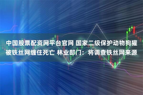 中国股票配资网平台官网 国家二级保护动物狗獾被铁丝网缠住死亡 林业部门：将调查铁丝网来源