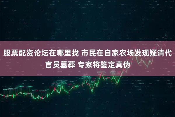 股票配资论坛在哪里找 市民在自家农场发现疑清代官员墓葬 专家将鉴定真伪